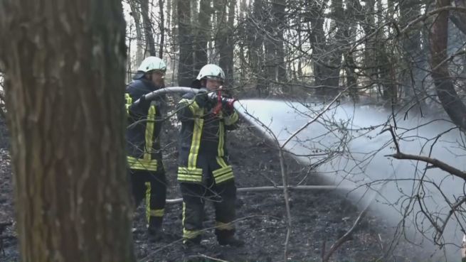 go to Groß-Alarm in Nordhorn:  2.500 m² Wald in Flammen